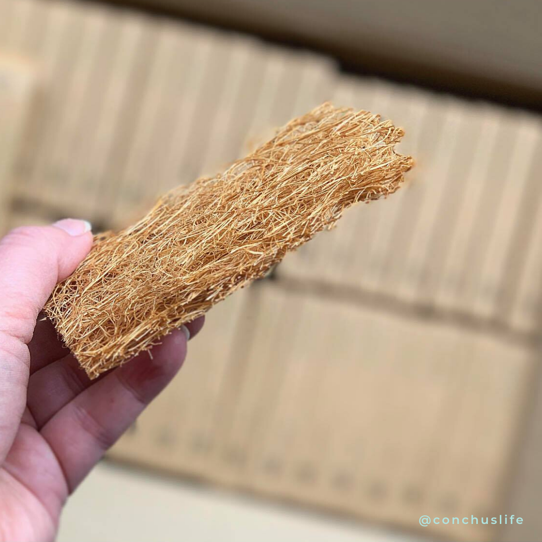 Safix Coconut Fibre Soap Rest - CONCHUS