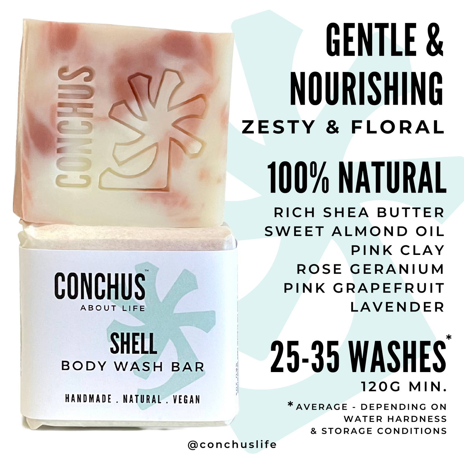 Shell Body Wash Bar