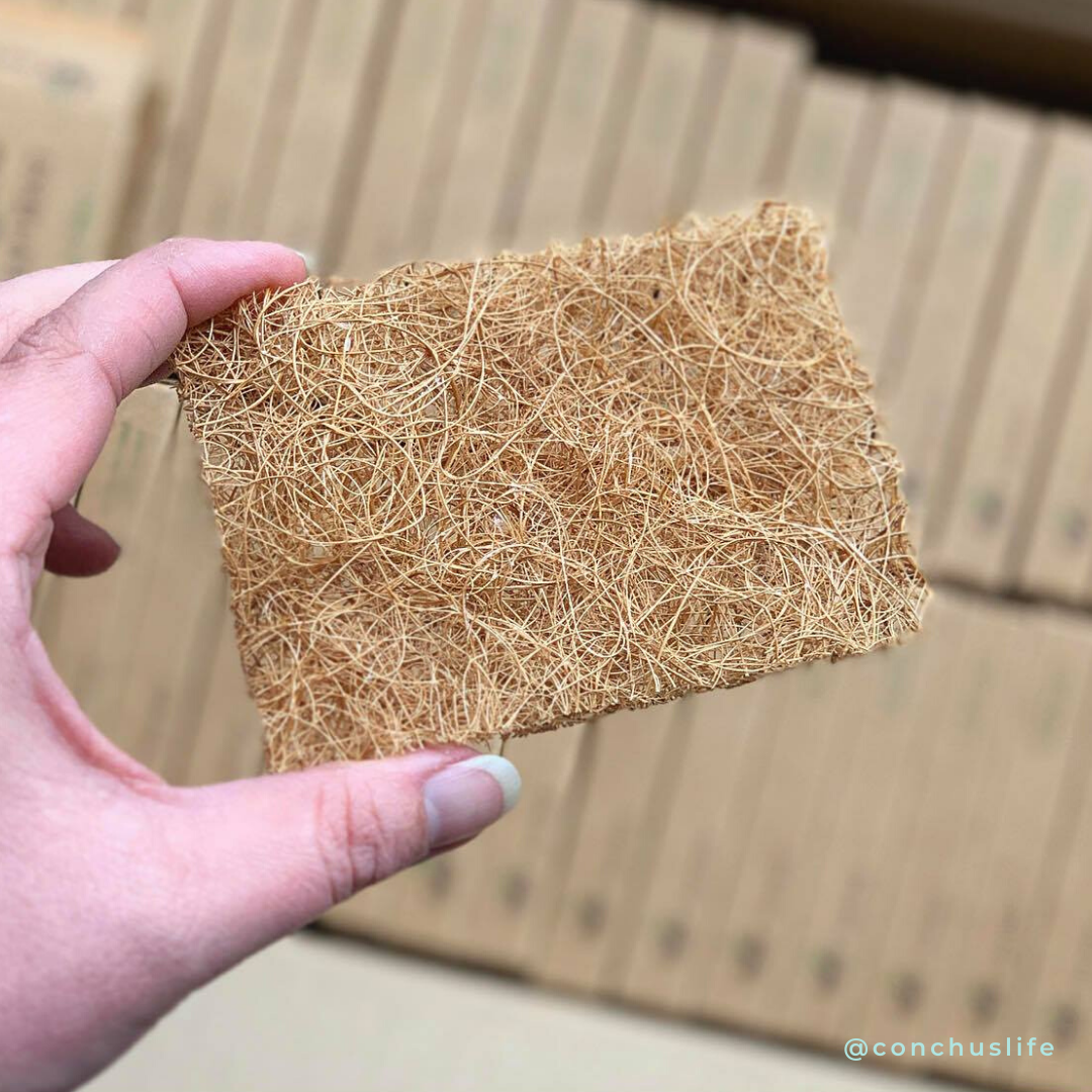 Safix Coconut Fibre Soap Rest - CONCHUS