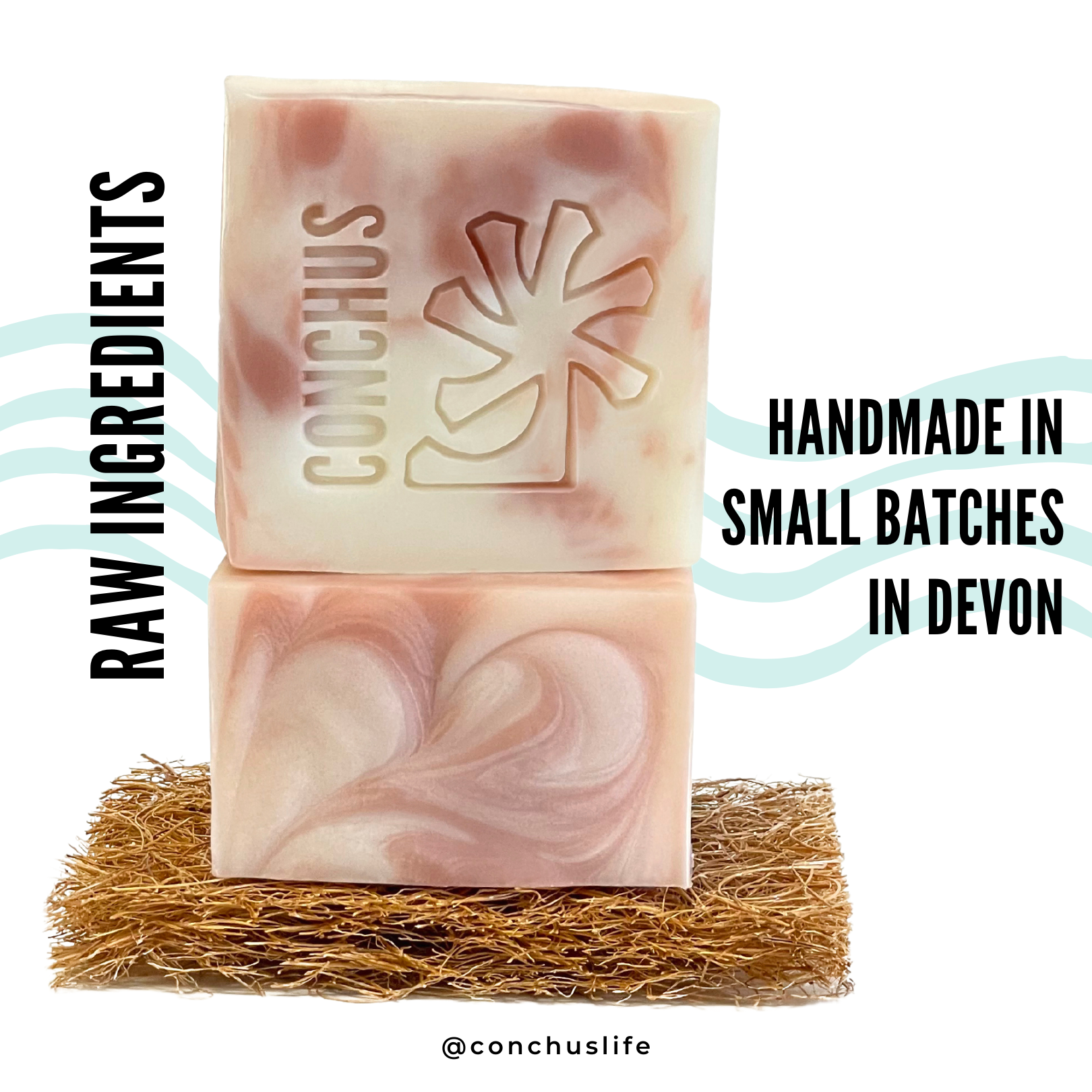 Shell Body Wash Bar